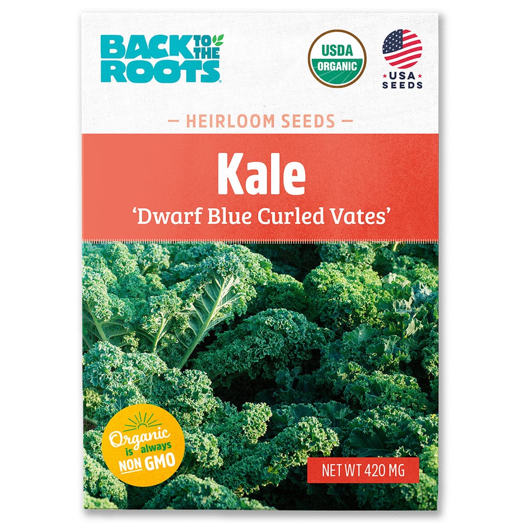 Back to the Roots Organic Kale Seeds — 'Dwarf Blue Curled Vates' are organic, non-GMO, and USA-grown—ideal cool weather seeds for growing healthy greens at home.