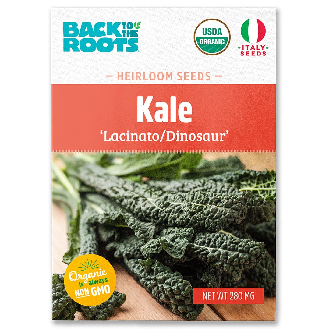 Front of a Back to the Roots Organic Kale Seeds — 'Lacinato/Dinosaur' packet, showing fresh greens with USDA organic and non-GMO labels—ideal for homegrown, cold-hardy vegetables.
