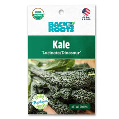 Organic Kale Seeds — 'Lacinato/Dinosuar'