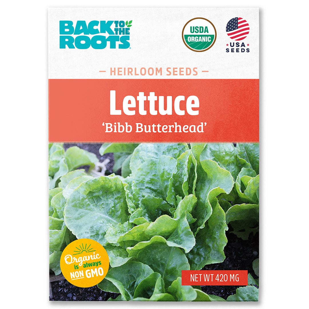 A packet of Back to the Roots Organic Lettuce Seeds — 'Bibb Butterhead' (USDA organic, non-GMO, USA seeds) features green lettuce leaves—an ideal cool weather crop for home growing.