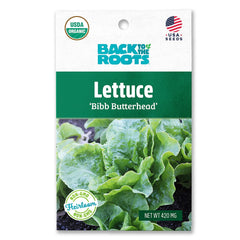 Organic Lettuce Seeds — 'Bibb Butterhead'