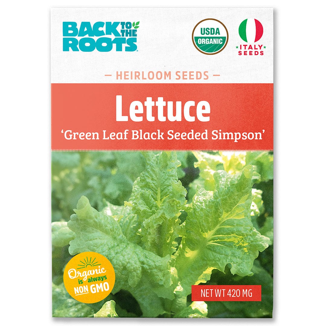 Back to the Roots Organic Lettuce Seeds — 'Green Leaf Black Seeded Simpson' are non-GMO and ideal for cool weather salads. Features a photo of vibrant green lettuce on the packet.