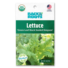 Organic Lettuce Seeds — 'Green Leaf Black Seeded Simpson'