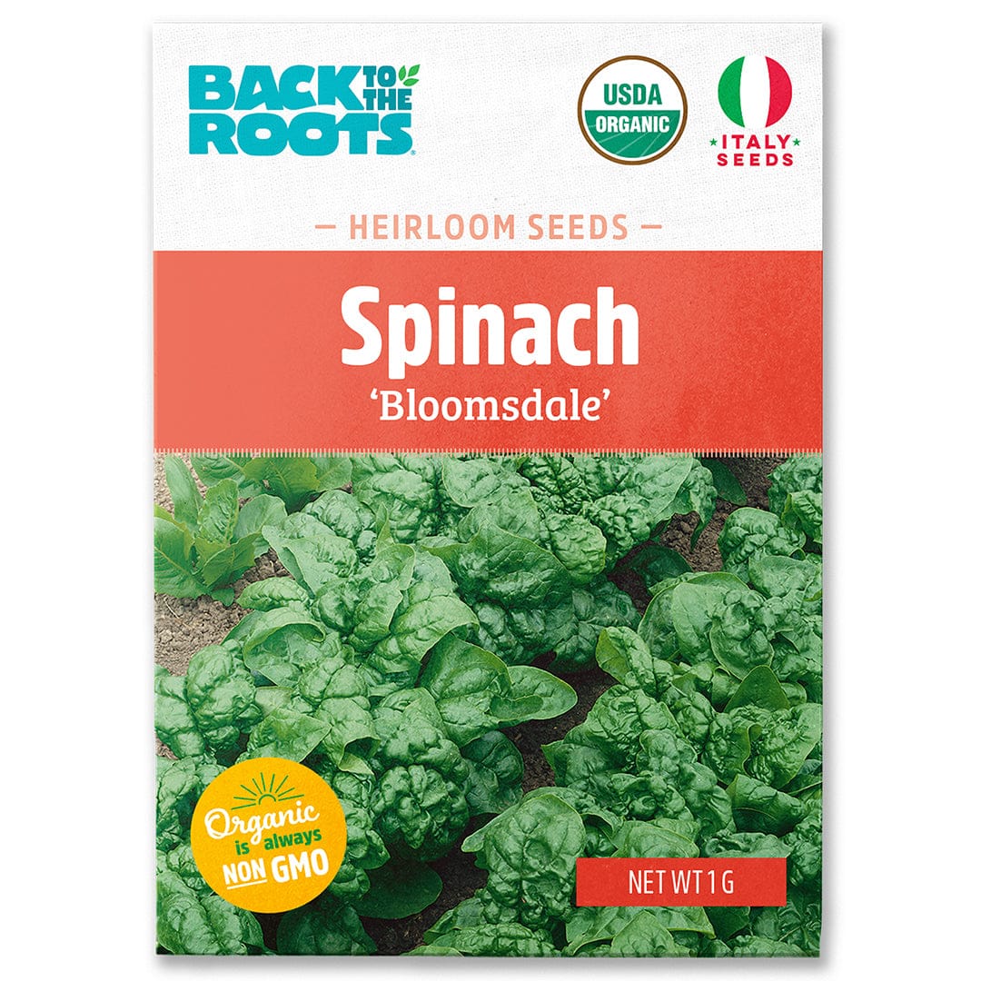 Back to the Roots Organic Spinach Seeds — 'Bloomsdale' are USDA Organic and Non-GMO, perfect for growing tender baby spinach leaves as a cool weather crop.