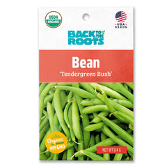 Organic Bean Seeds — 'Tendergreen Bush'