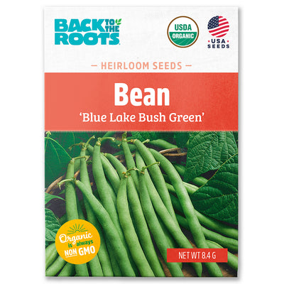 Organic Bean Seeds — 'Blue Lake Bush Green'