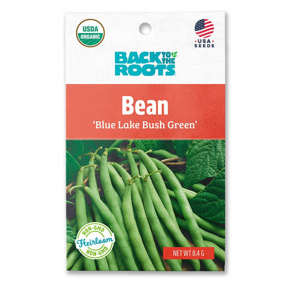 Organic Bean Seeds — 'Blue Lake Bush Green'