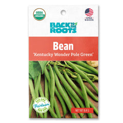 Organic Bean Seeds — 'Kentucky Wonder Pole Green'