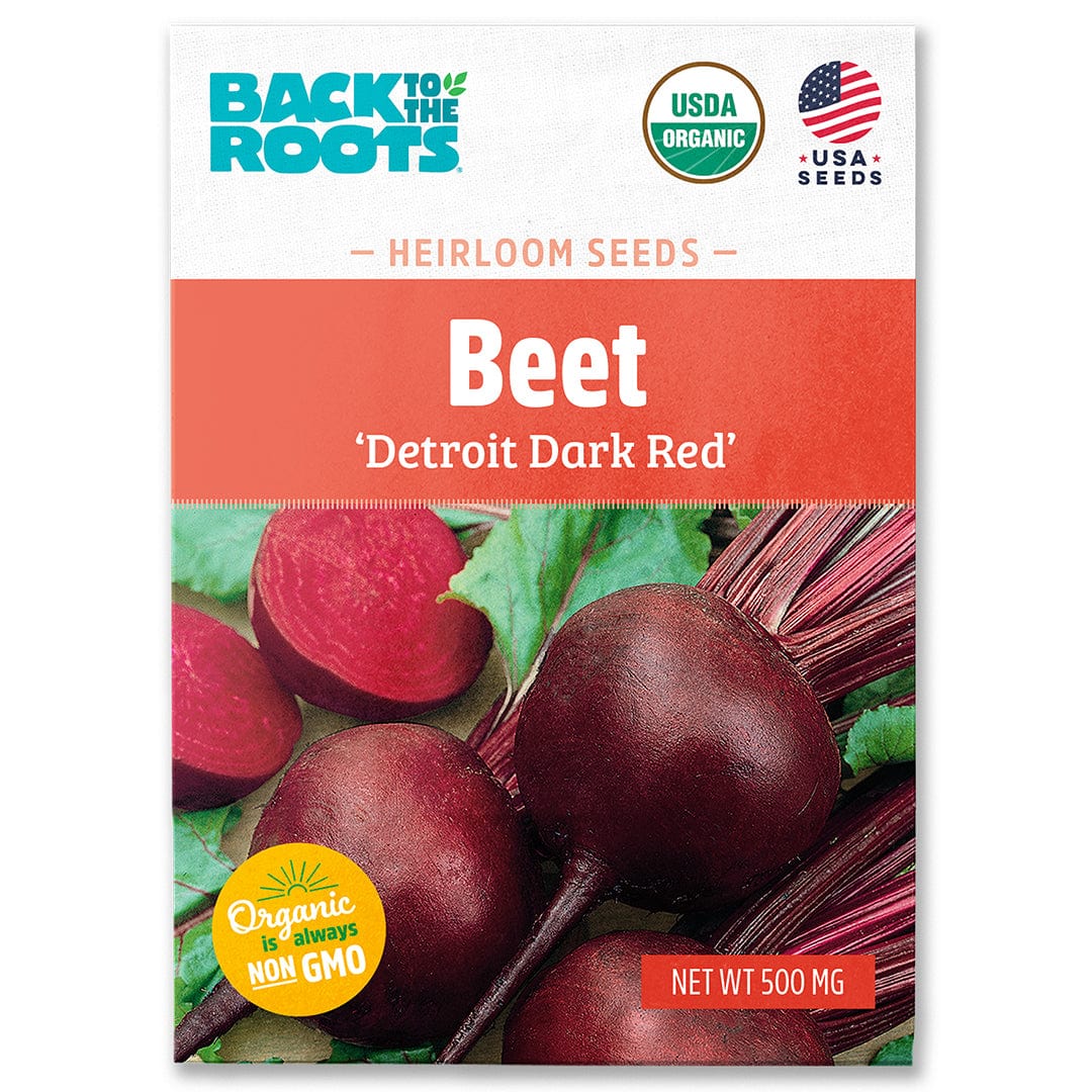 Organic Beet Seeds — 'Detroit Dark Red'