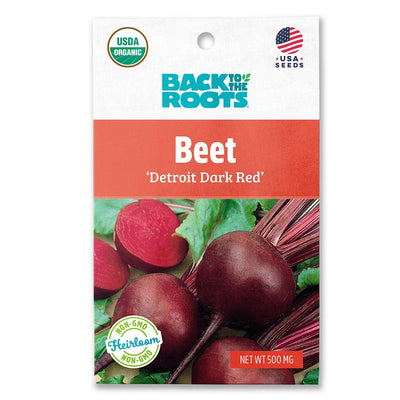 Organic Beet Seeds — 'Detroit Dark Red'