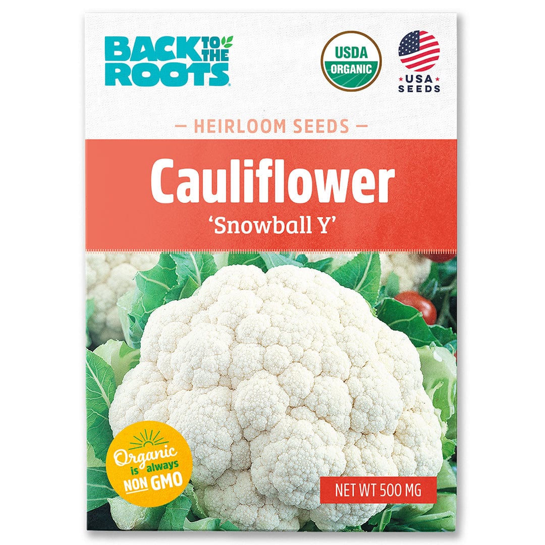 Organic Cauliflower Seeds — 'Snowball Y'