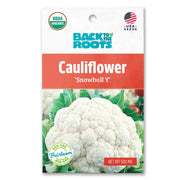 Organic Cauliflower Seeds — 'Snowball Y'