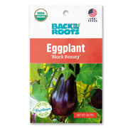 Organic Eggplant Seeds — 'Black Beauty'