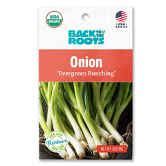 Organic Onion Seeds — 'Evergreen Bunching'