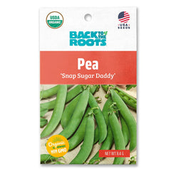 Organic Pea Seeds — 'Snap Sugar Daddy'