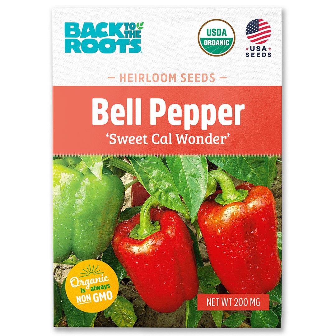 Organic Bell Pepper Seeds — 'Sweet Cal Wonder'