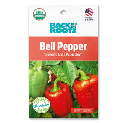 Organic Bell Pepper Seeds — 'Sweet Cal Wonder'