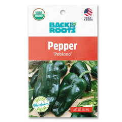 Organic Pepper Seeds — 'Poblano'