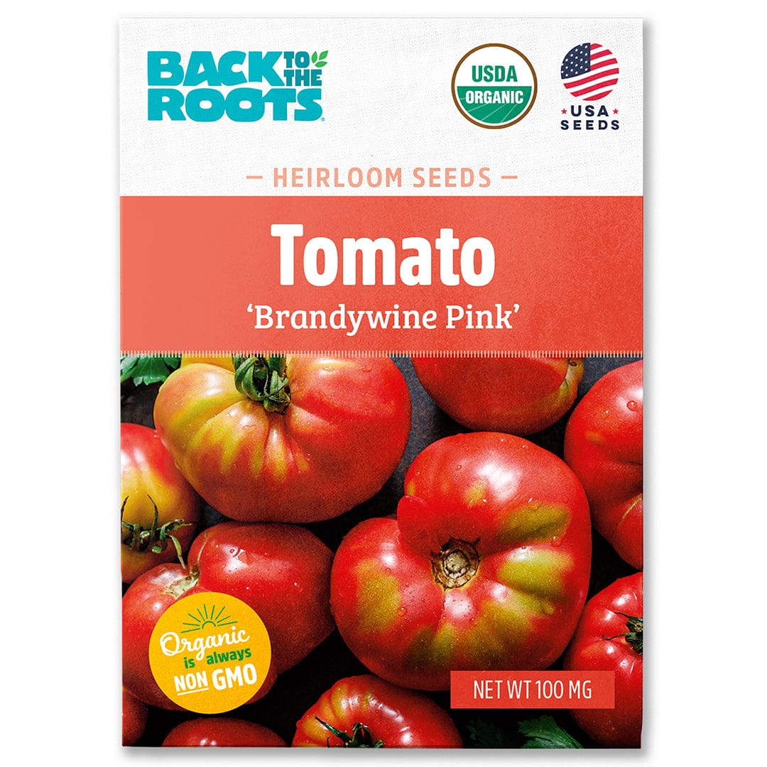 Organic Tomato Seeds — 'Brandywine Pink'