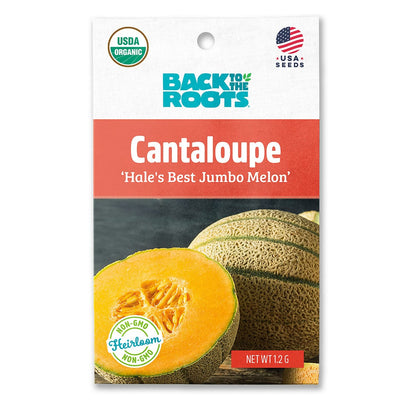 Organic Cantaloupe Seeds — 'Hale's Best Jumbo Melon'