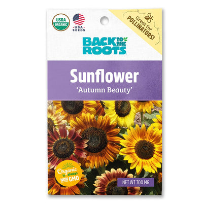 Organic Sunflower Seeds — 'Autumn Beauty'