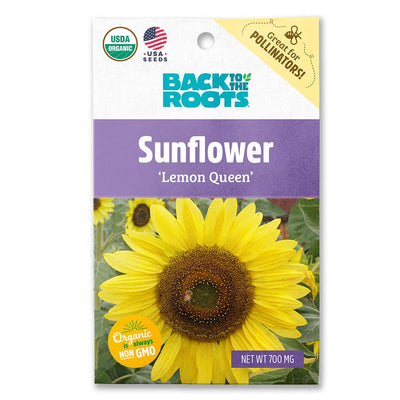 Organic Sunflower Seeds — 'Lemon Queen'