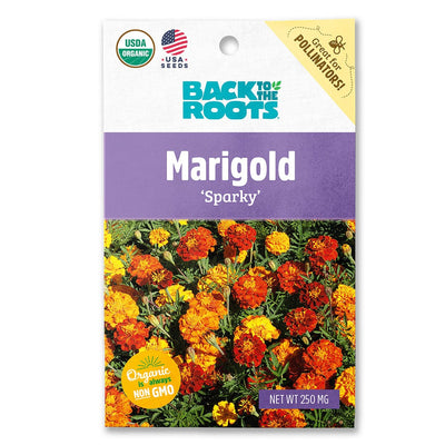 Organic Marigold Seeds — 'Sparky'