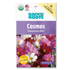 Organic Cosmos Seeds — 'Sensation Mix'