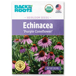 Organic Echinacea Seeds — 'Purple Coneflower'