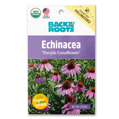 Organic Echinacea Seeds — 'Purple Coneflower'
