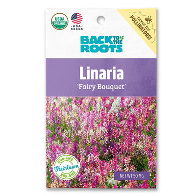 Organic Linaria Seeds — 'Fairy Bouquet'