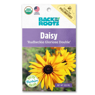 Organic Daisy Seeds — 'Rudbeckia Gloriosa Double'