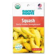 Organic Squash Seeds — 'Early Prolific Straightneck'