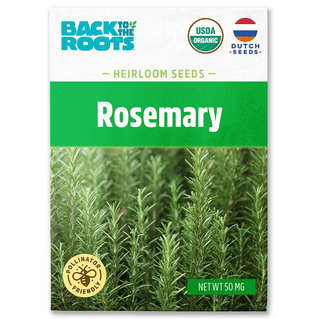 Organic Rosemary Seeds