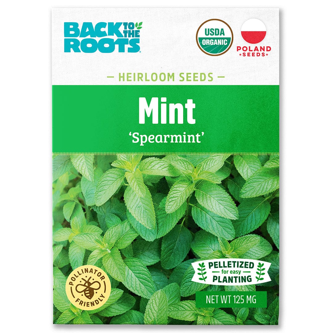 Organic Mint Seeds — 'Spearmint'