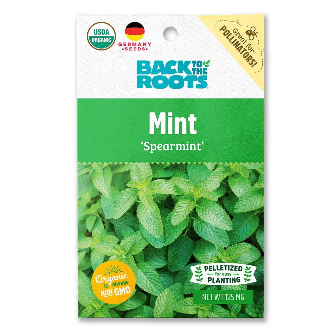 Organic chocolate mint (bare rooted) plant - 1 count Large / Grown in fashion the U.S.A.