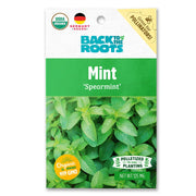 Organic Mint Seeds — 'Spearmint'