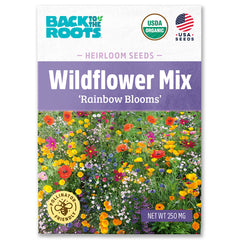 Organic Wildflower Seeds — 'Rainbow Blooms'