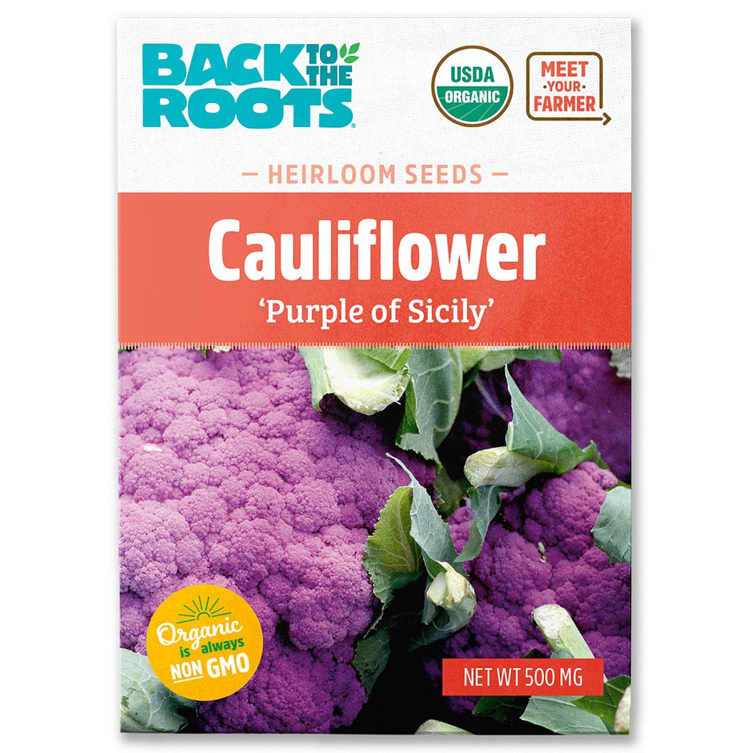 Purple cauliflower head with green leaves on seed packet labeled Back to the Roots Organic Heirloom Seeds. - Organic Cauliflower Seeds — 'Purple of Sicily' - Default Title - Back to the Roots