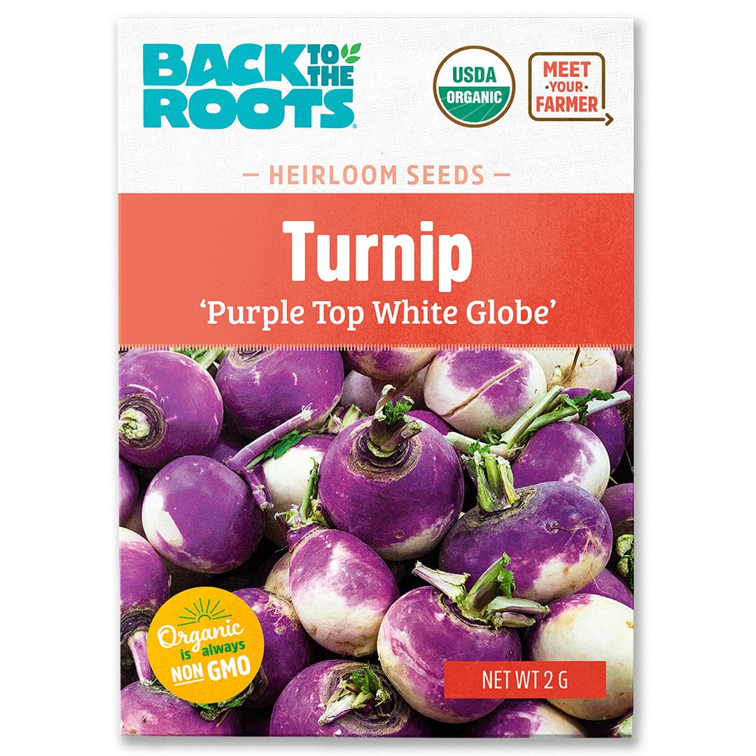Pack of organic Purple Top White Globe turnip seeds with vibrant purple and white turnips on packet design. - Organic Turnip Seeds — 'Purple Top White Globe' - Default Title - Back to the Roots