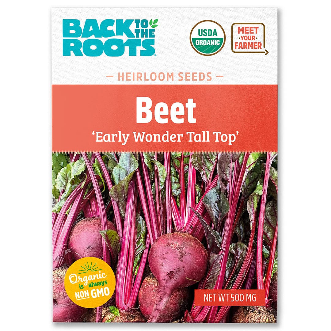 Package of organic beet seeds with vibrant red beets and green leafy tops on front label. - Organic Beet Seeds — 'Early Wonder Tall Top' - Default Title - Back to the Roots