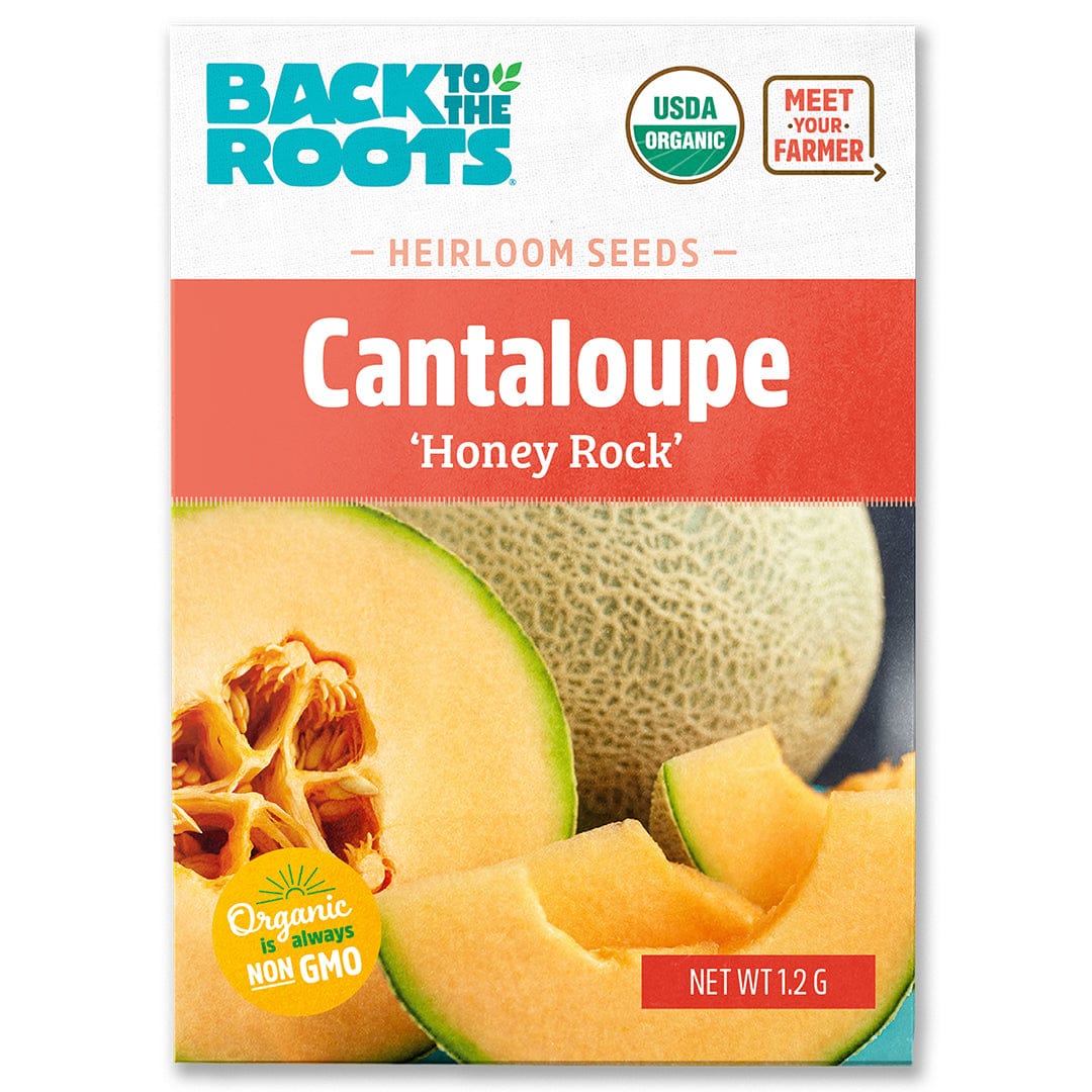 Pack of organic cantaloupe seeds with cantaloupe melon halves showing orange flesh and netted rind on the packaging. - Organic Cantaloupe Seeds — 'Honey Rock' - Default Title - Back to the Roots
