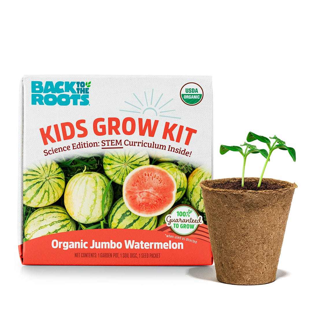 Kids Grow Kit 4-Pack Bundle: Terrarium and 3 Science Grow Kits 🎁