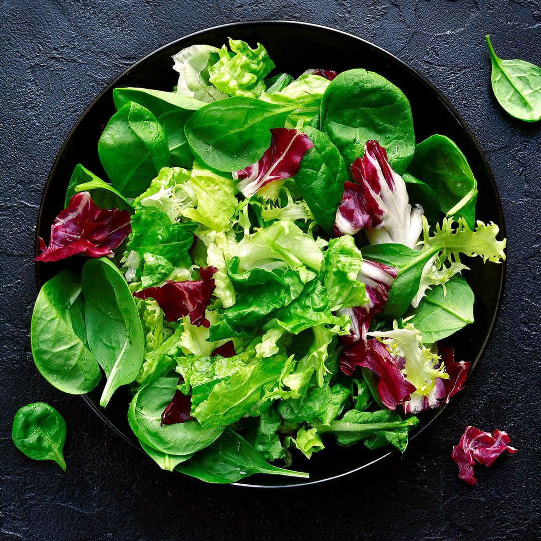 Black bowl filled with mixed fresh leafy greens including spinach, red leaf lettuce, and green leaf lettuce on a dark. - Leafy Greens Seeds 5-Pack Organic Seed Bundle - Default Title - Back to the Roots