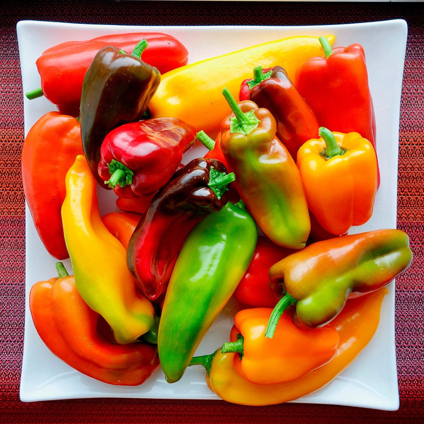Organic Pepper Medley 5-Pack – Back to the Roots