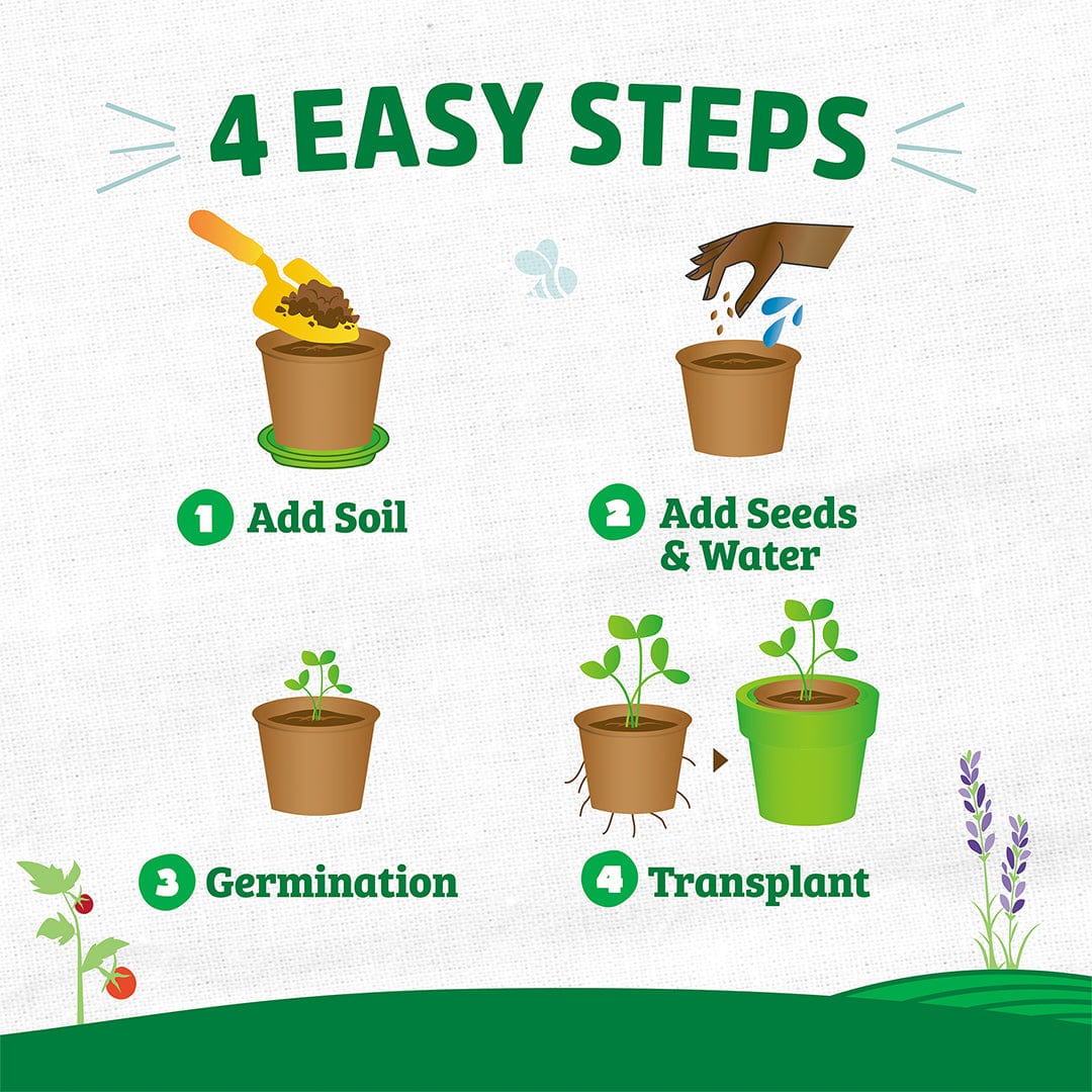 soil for planting seeds in pots Back to the Roots Organic & Plantable 4.25" Wide Seed Starting Pots (8 ct)