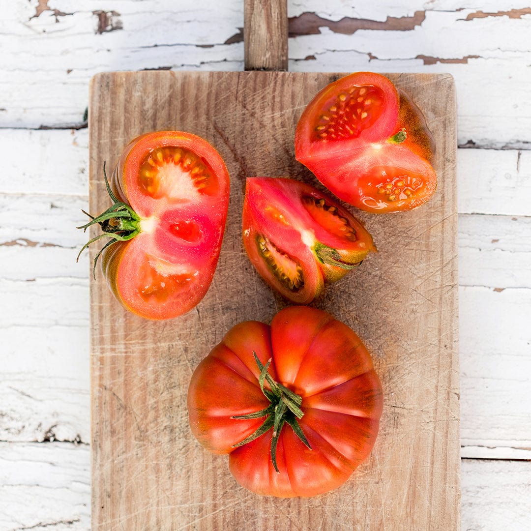 Organic Heirloom Tomato 5-Pack Seed Bundle – Back to the Roots