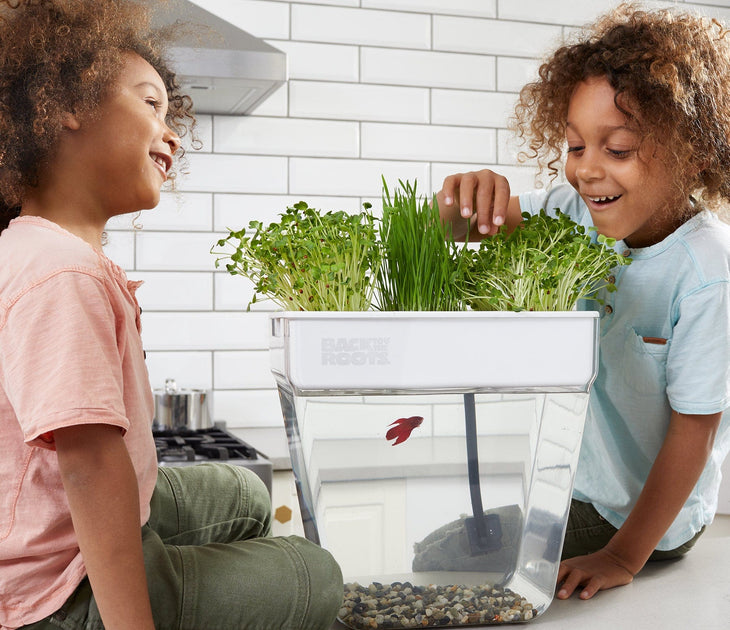 Back To Roots Back to the Roots | Official Site® | Shop Gardening Gifts & Grow Kits