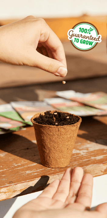 Back to the Roots | Official Site® | Shop Gardening Gifts & Grow Kits