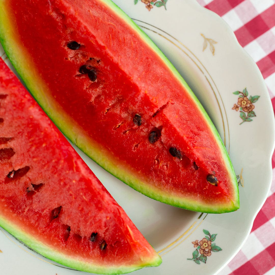 Two vibrant red watermelon slices with black seeds, thick green rind, on floral-patterned plate. - Organic Watermelon Seeds — 'Jubilee' - Default Title - Back to the Roots